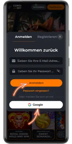CorgiBet Eingabefelder mit Google-Option